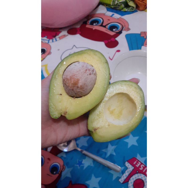 

ALPUKAT MENTEGA