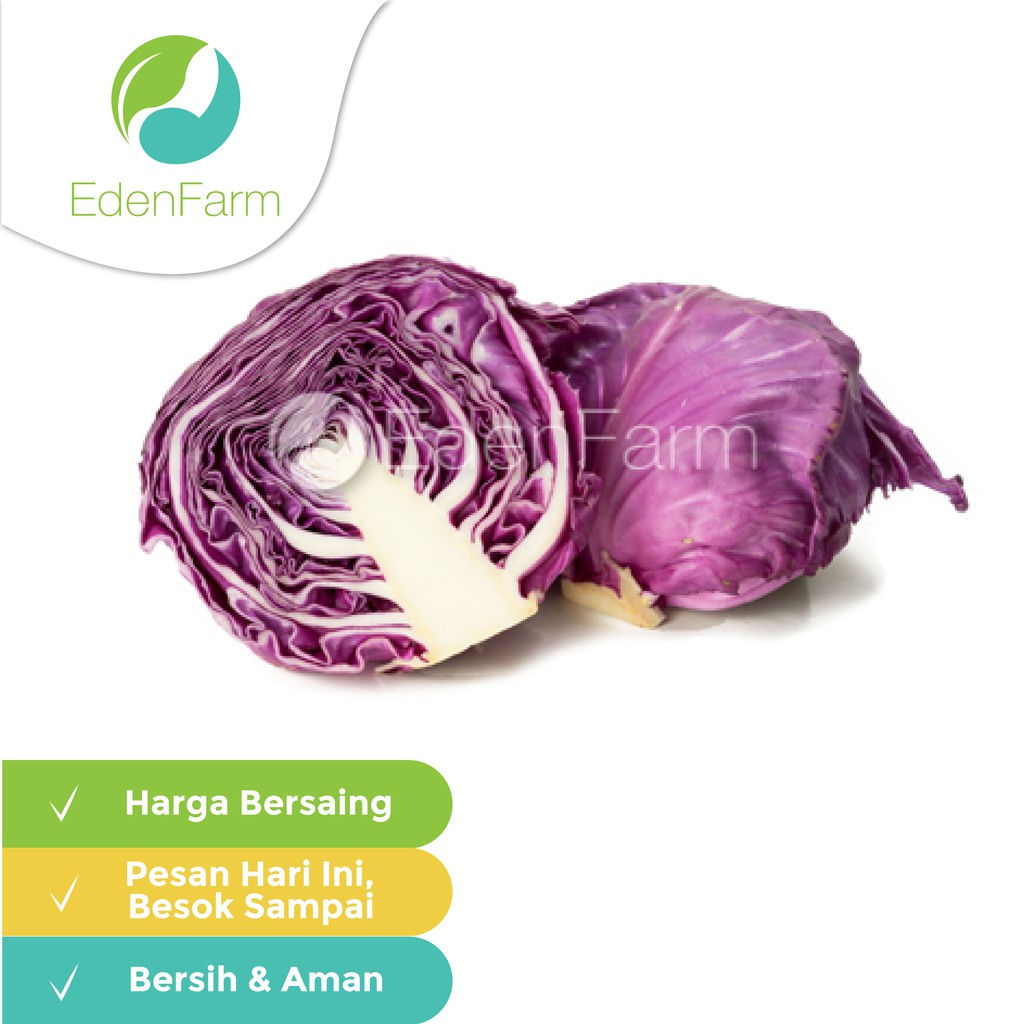 

Kol Ungu (0 4 - 0 8 kg/pcs) Eden Farm