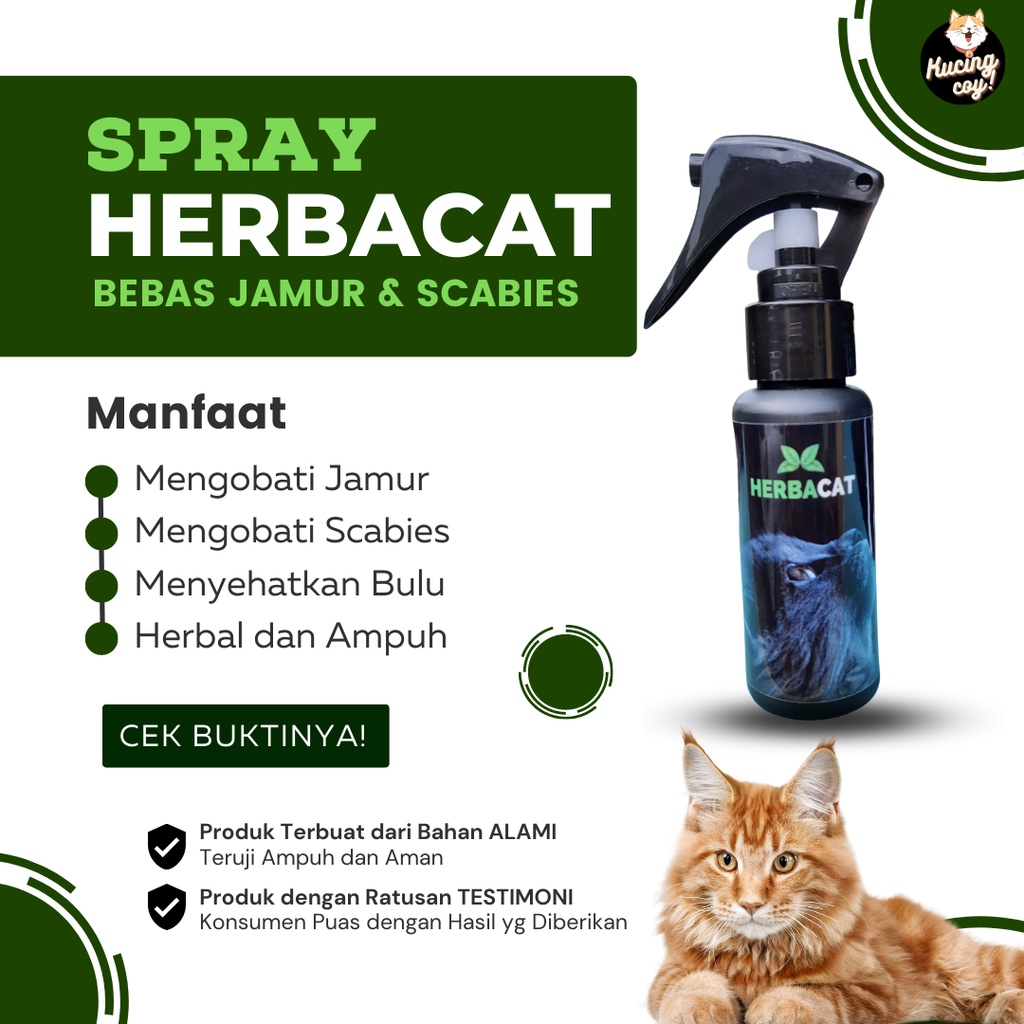Obat kucing jamuran Herbacay Spray obat jamur kucing Herbal aman basmi jamur kitten