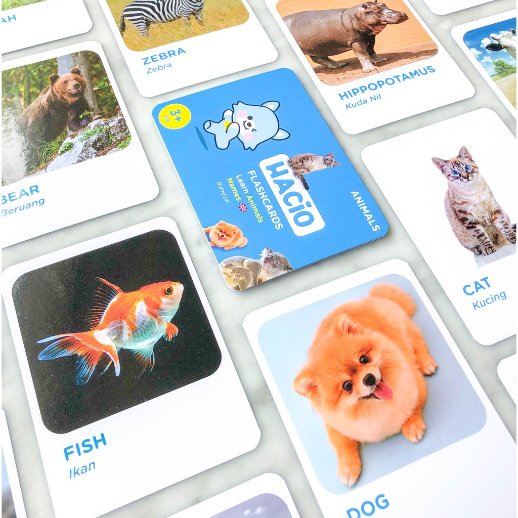 Flashcard Animals Untuk Anak