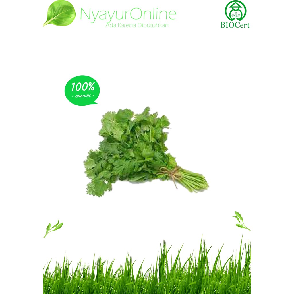 

Sayuran Daun Ketumbar/Wansu Organik 200 gram