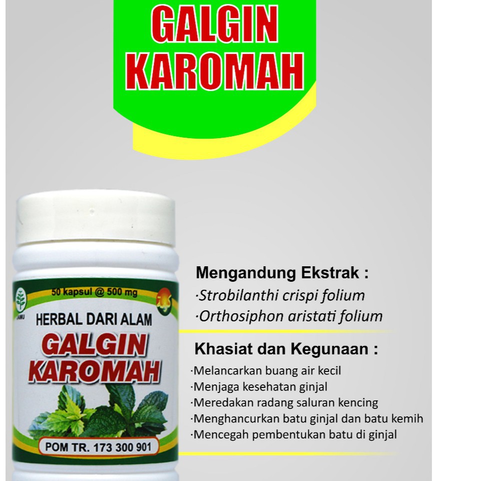OBAT BATU GINJAL GALGIN KAROMAH DE NATURE ASLI AMPUH