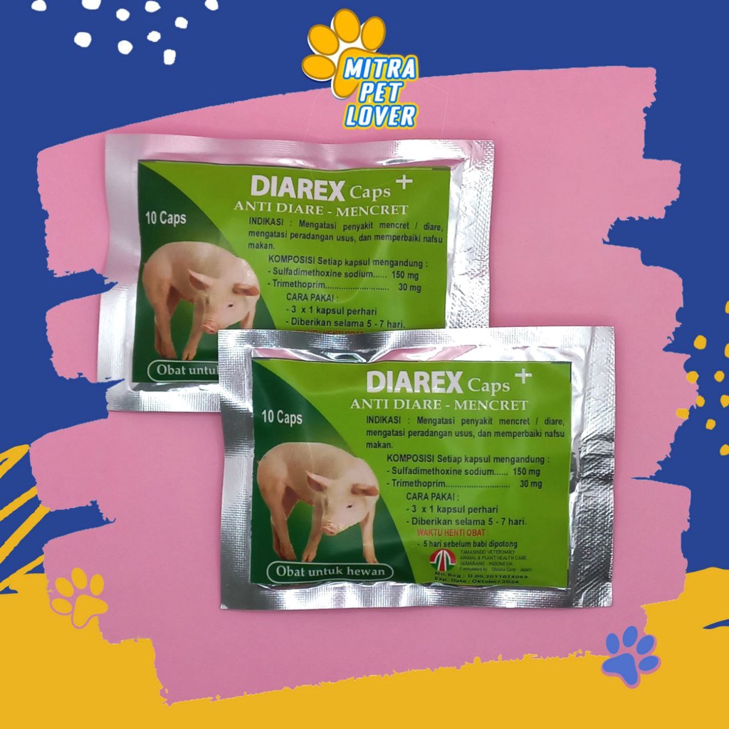 OBAT DIARE BABI - DIAREX PIG 10 CAPSUL - ANTI MENCRET DIARE BABI - KAPSUL ANTIBIOTIK JEPANG ATASI RADANG USUS - PERBAIKI NAFSU MAKAN &amp; IMUN TUBUH - MURAH GARANSI KUALITAS ASLI ORIGINAL - PET ANIMAL- TAMASINDO KESEHATAN &amp; VITAMIN TERNAK HEWAN MITRAPETLOVER