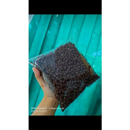

CHOCOCHIP