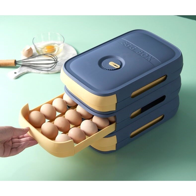 Tempat Penyimpanan Telur LacI Simpan Telur box telur Egg Box