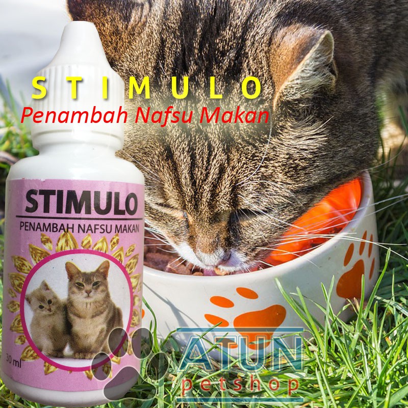 Vitamin Kucing Nafsu Makan Stimulo Drop 30ml Shopee Indonesia