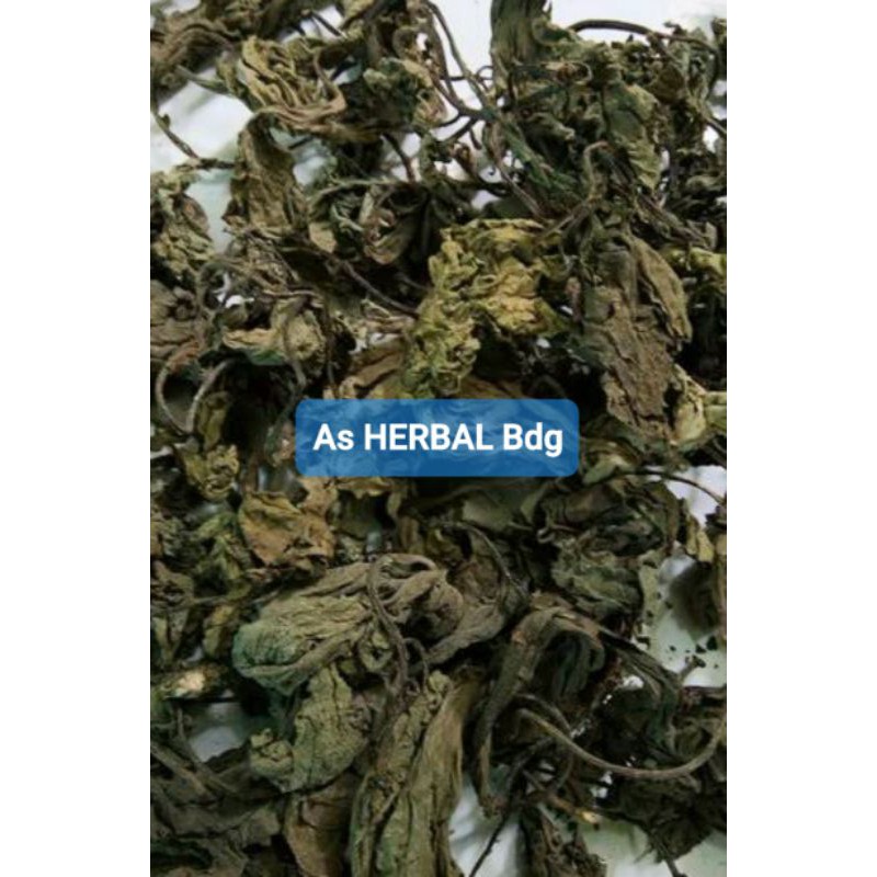 

Hemat 250 gram daun insulin atau kipahit kering-az