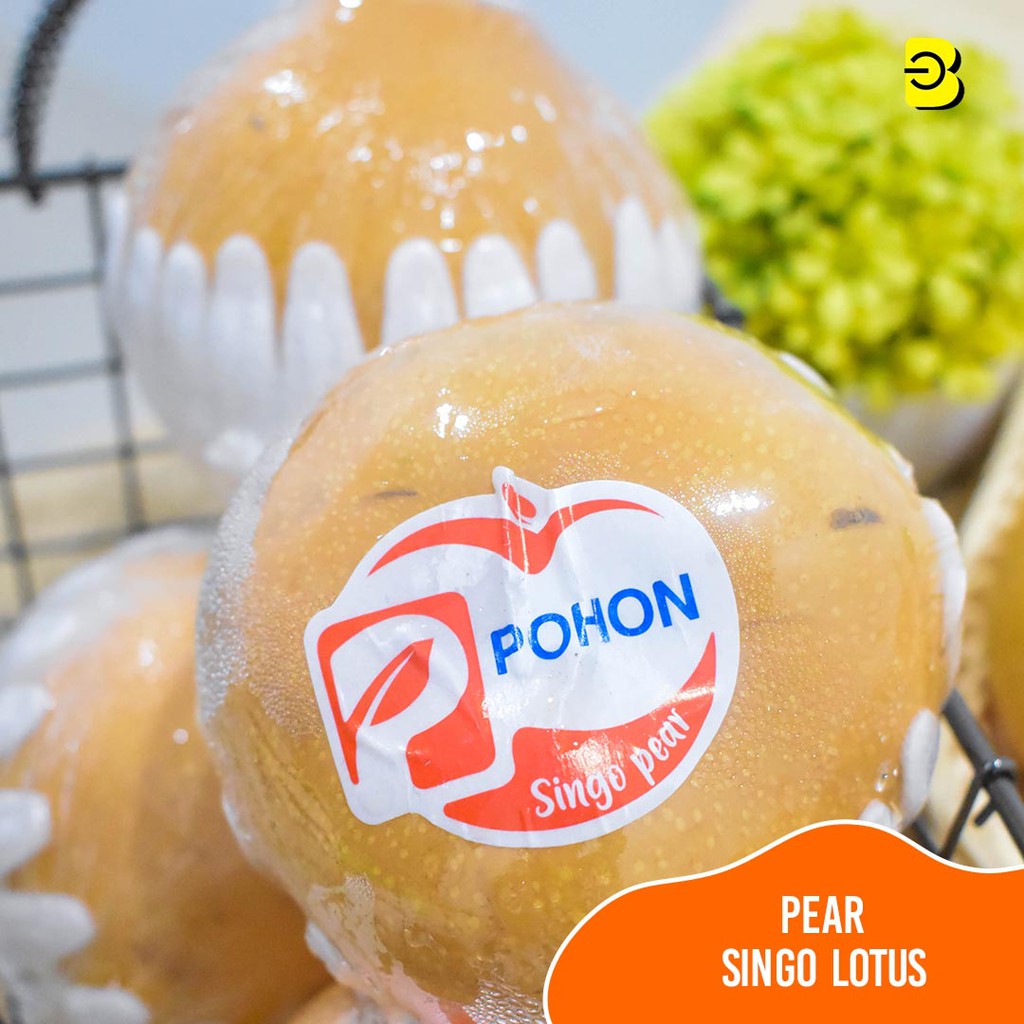 

BUAH PEAR SINGO KOREA 1KG | PIR SINGO KOREA PREMIUM | PEAR SINGO KOREA