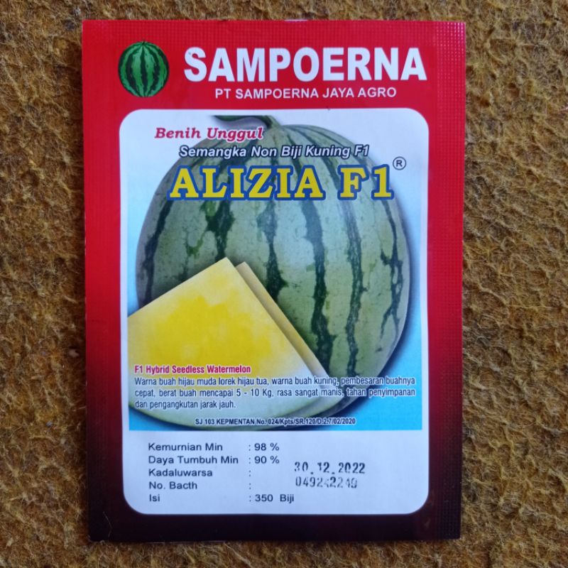 Benih semangka non biji kuning