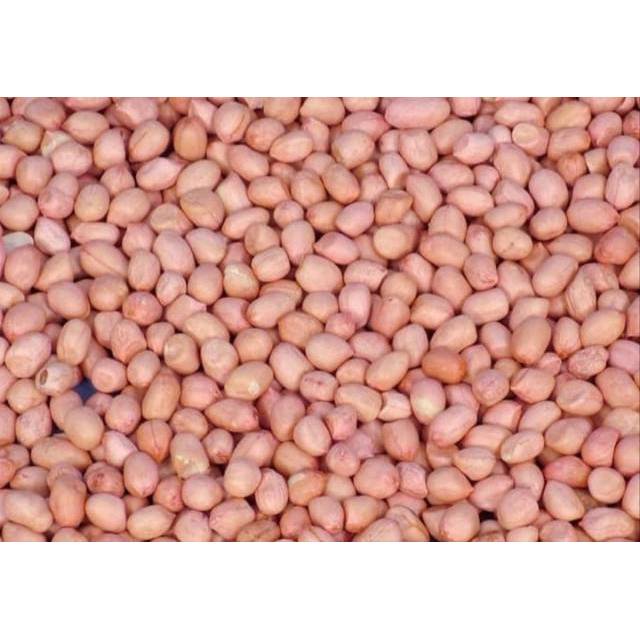 

Kacang tanah kupas kering 500gr