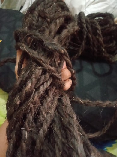 Tali Ijuk Aren Hitam, Gazebo Dan Media Anggrek 20m