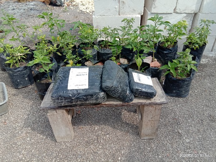 Batik Couple Keluarga Maura Couple Sania Ruffle Ori Ndoro Jowi Dnt Cendrawasih