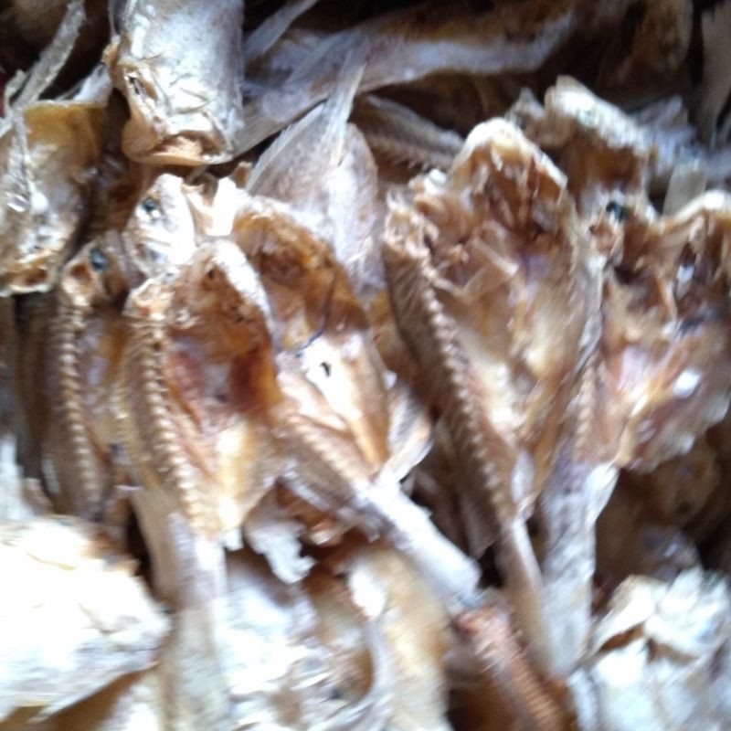 

ikan samge/tetet kering tawat