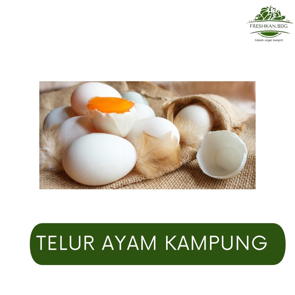 

TELUR AYAM KAMPUNG/BUTIR