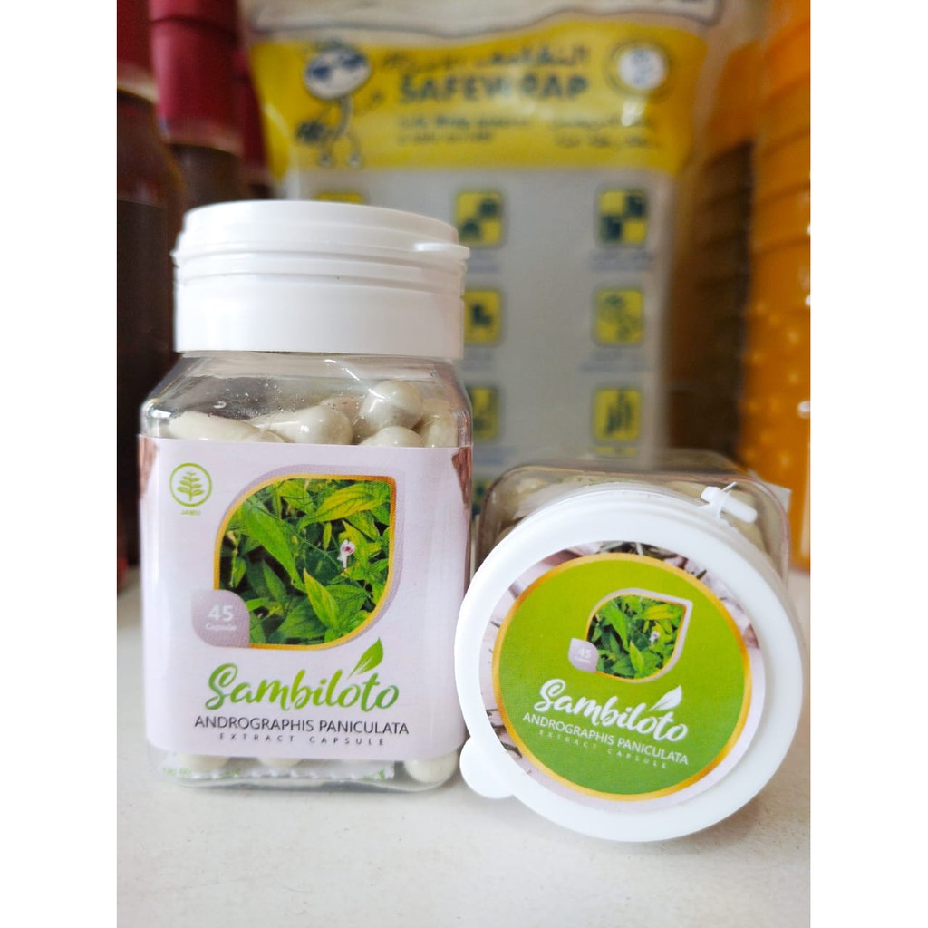 

Andrographis paniculata Herba - Sambiloto Extra Kapsul 45Kp - Tingkatkan daya tahan tubuh