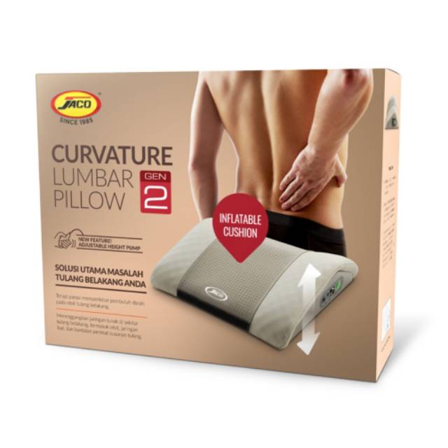 Lumbar pillow 100%  ASLI JACO