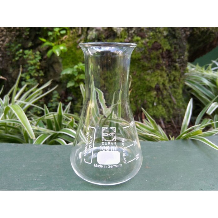Erlenmeyer flask 100ml SCHOTT DURAN