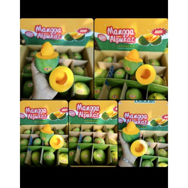 

MANGGA ALPUKAT TERMURAH