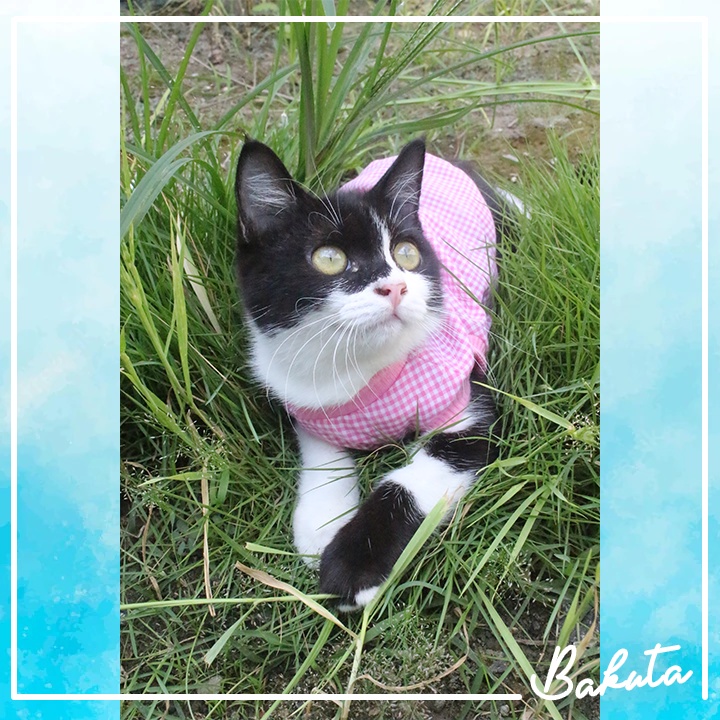 Baju Ucansee Kotak-kotak pink untuk kucing dan anjing / baju kucing lucu termurah size S-XL