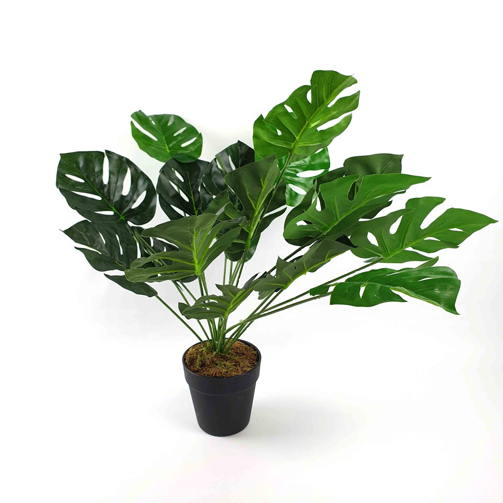 Pohon Daun  Philodendron Monstera Artificial 60 cm + pot/ Pohon Hias Plastik