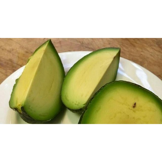 Paket 3 Bibit Tanaman Buah Alpukat Non Biji