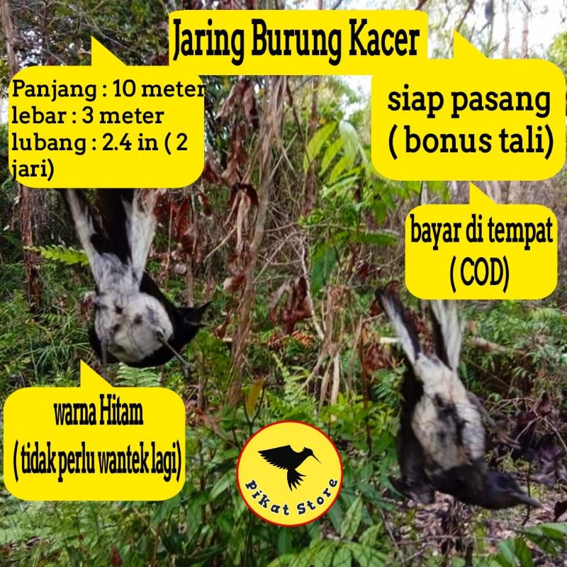 JARING BURUNG KACER JALA PIKAT KACER JALA JARING MANUK KACER JARING POCI JARING KACER JARING PIKAT K
