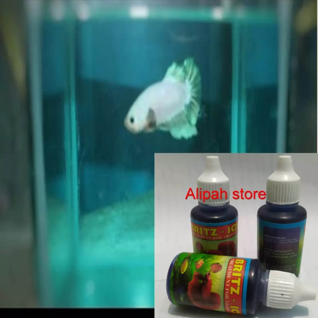 obat biru tetes untuk ikan cupang dan ikan lainya 30ml