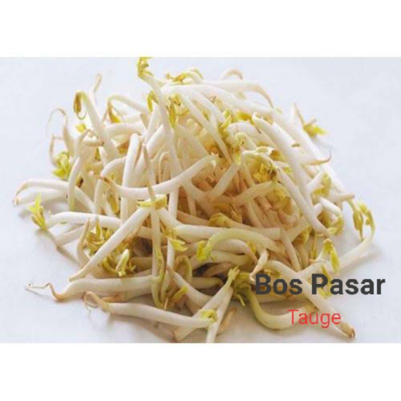 

Tauge 250 gr