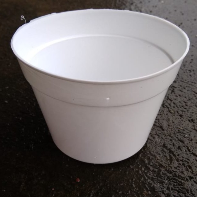 pot mini lucu cocok untuk sukulen,kaktus dan tanaman hias