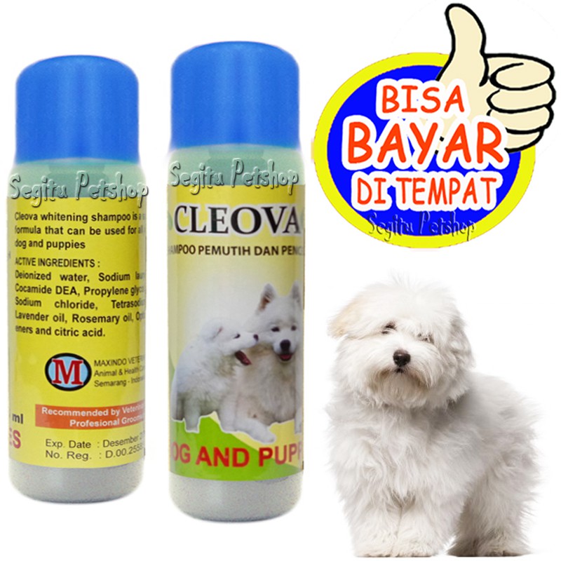 SAMPO ANJING PUTIH PENGHILANG NODA CLEOVA DOG 125 ML WHITE SOLID