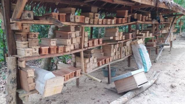 Sarang Lebah Klanceng Koloni Trigona Dalam Stup Kotak Shopee