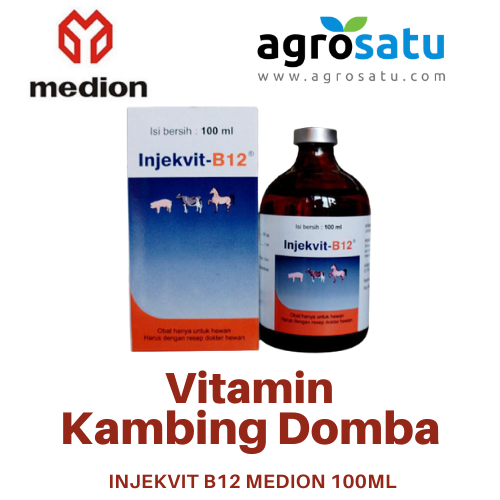 Jual Vitamin B12 Kambing Domba Penggemuk Penambah Nafsu Makan Injekvit Obat Kambing Lumpuh Injeksi 100ml Indonesia Shopee Indonesia