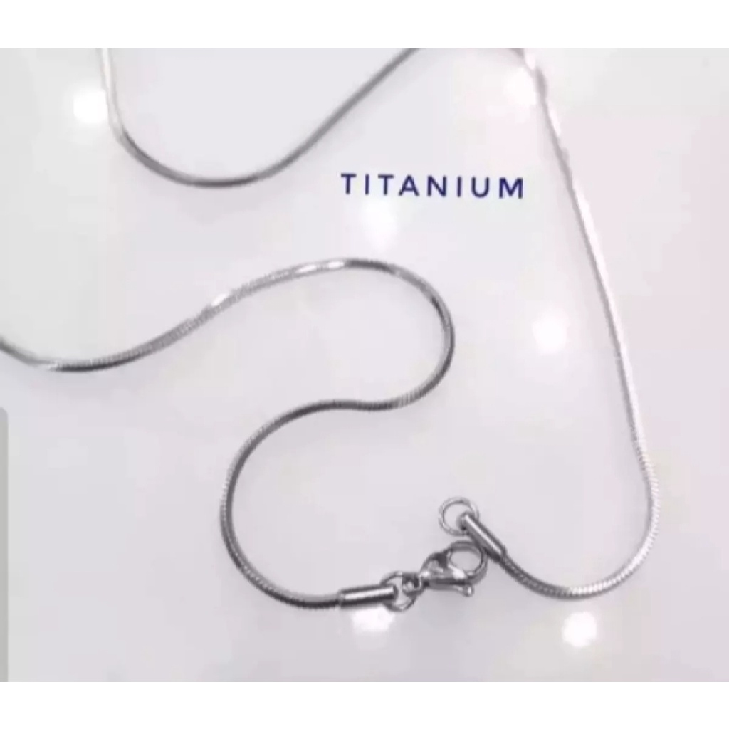 Kalung Belut bulat titanium Anti Karat Model Pria Wanita Masa Kini