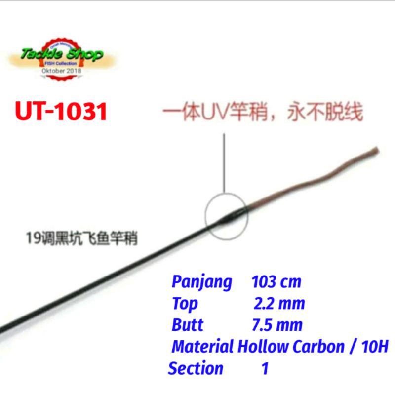Ujung Tegek 10H Hollow Carbon 103 cm Import     UT-1031