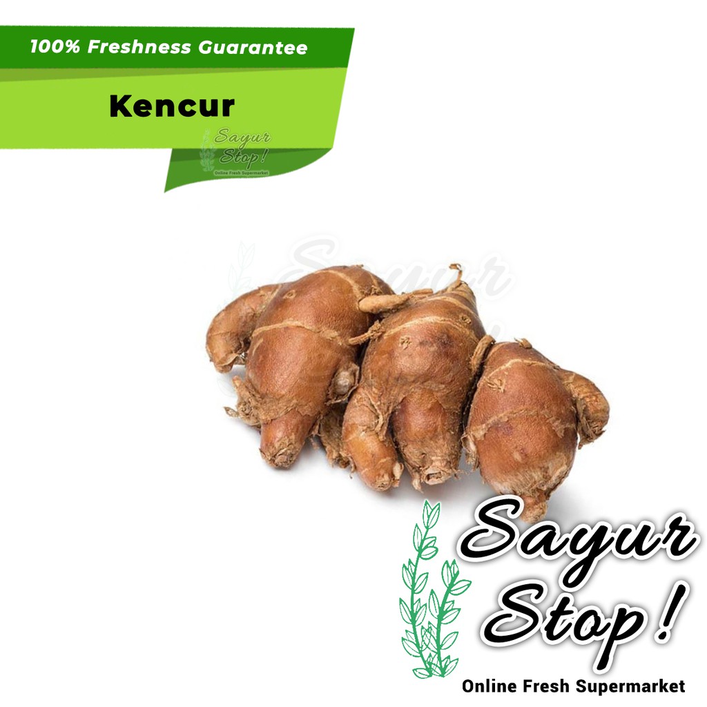 

Sayur Stop Kencur 100 gram