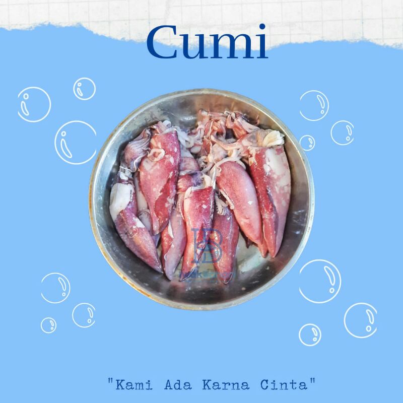 

Cumi Besar Segar