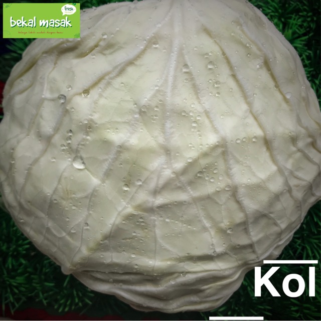

Kol Sayur
