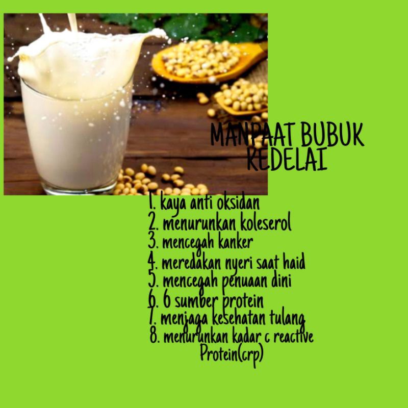 master protein bubuk kedelai murni rendah lemak 500gr