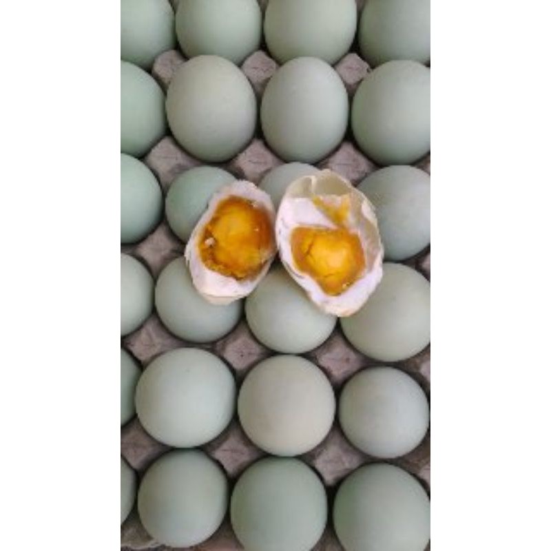 

Telur Asin Matang Masir Enakk