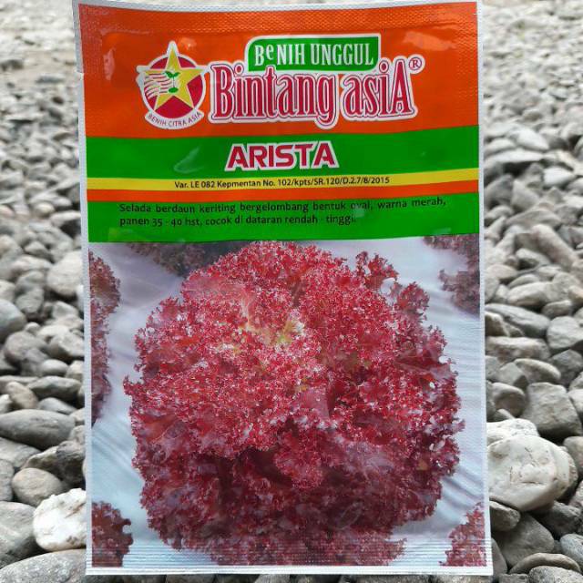 benis sayur selada lettuce lollorosa ARISTA (10gr) BINTANG ASIA