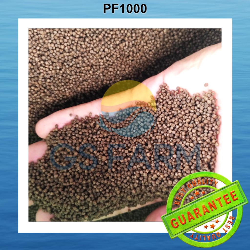 Pelet ikan PF1000 1kg Prima Feed pakan PF 1000 1 kg benih lele GS FARM