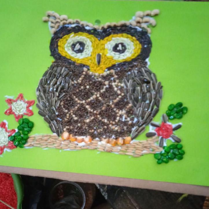 93 Koleksi Gambar Burung Hantu Kolase Gratis