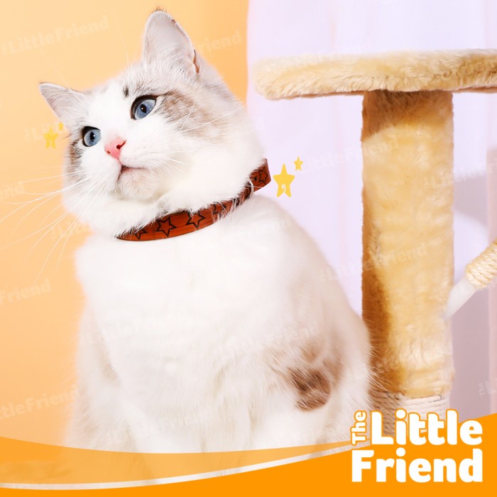 Kalung Leher Collar Anjing Kucing Kulit PU Leather HOT STAR STAMPING