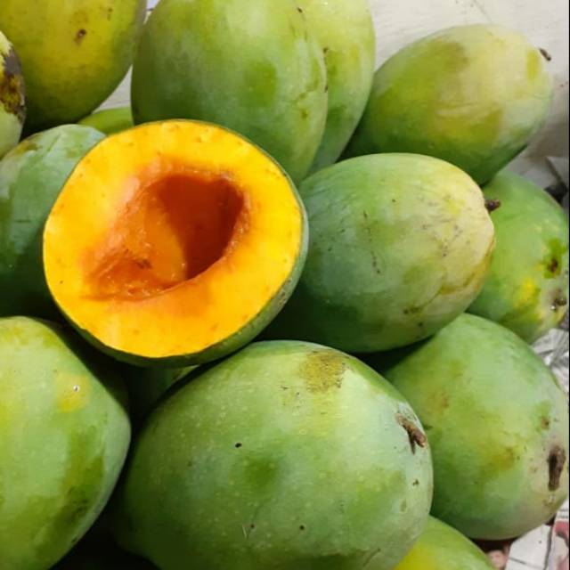 

Mangga alpukat super