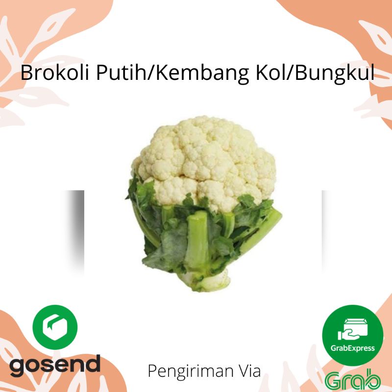 

BROKOLI PUTIH/BUNGKUL/KEMBANG KOL 500g