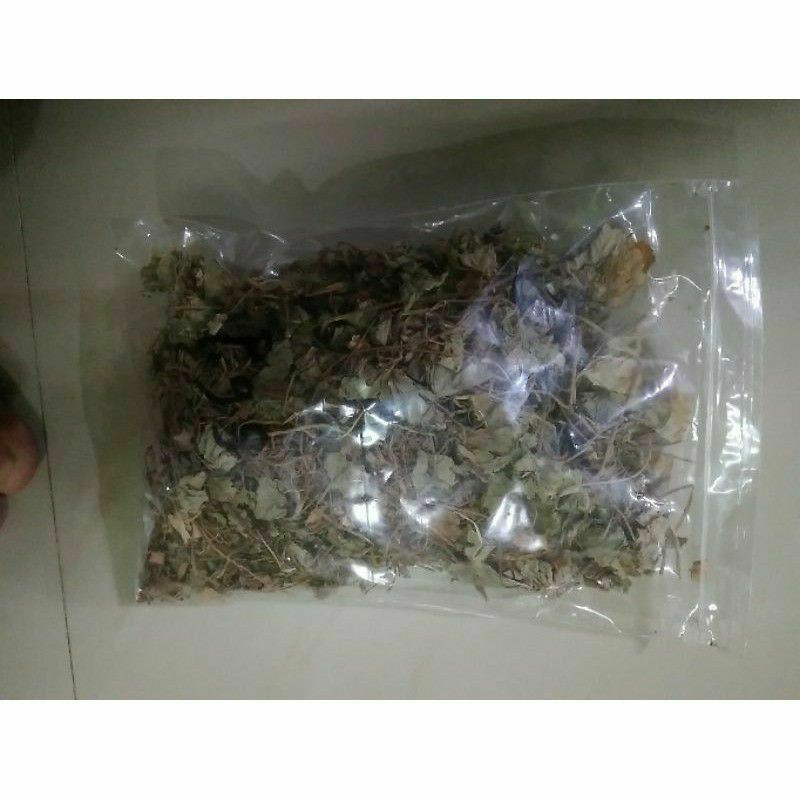 

Daun Pegagan Kering-Daun Antanan Kering oridgi-Daun Kaki Kuda Kering