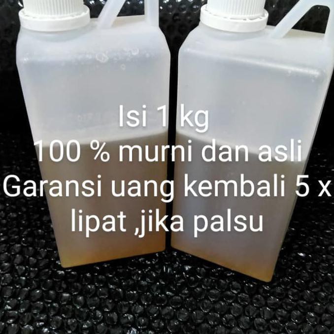 

Raw honey - unprocessed honey - madu murni & asli % - fres -sany