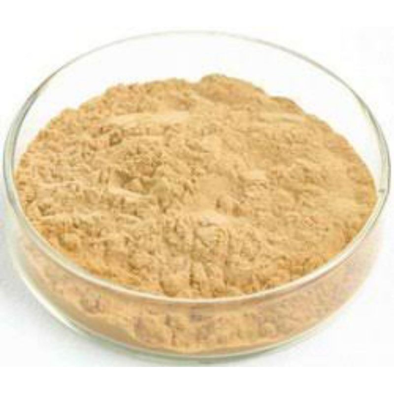 

Bubuk Pasak Bumi asli 500 gr