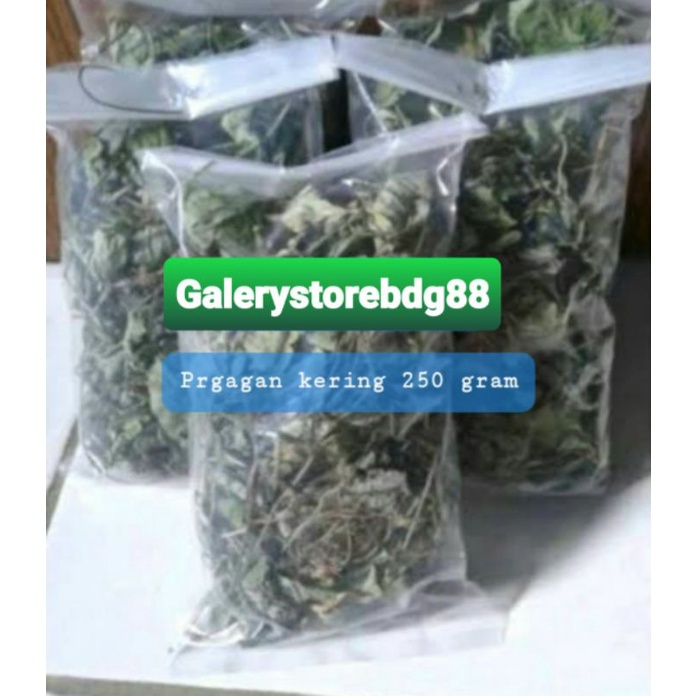 

Daun pegagan kering 250 gram / daun tapak kuda kering-az