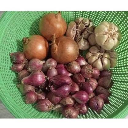 

Pasti dikirim / VnM bawang merah 3iN1 1kg murah freesh /Produk@diskon